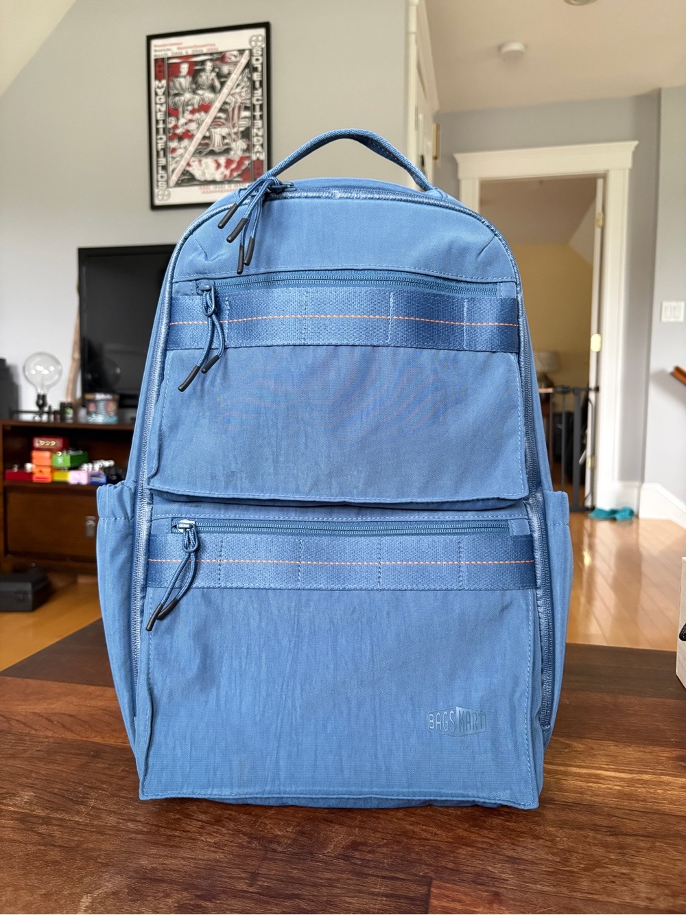 Bagsmart Moss 22l backpack like new